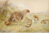 BALDWYN Charles Henry C. Grey Partridge And Young BALDWYN Charles Henry C. Grey Partridge And Young