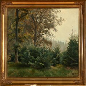  - balle_otto_petersen-autumn_forest_scenefrom_højbjergskov_~OM447300~10127_20100503_100000436_629