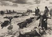 BALTERMANTS Dmitri Grief (ditch Of Kerch) BALTERMANTS Dmitri Grief (ditch Of Kerch)