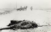BALTERMANTS Dmitri "on The Road To War" BALTERMANTS Dmitri "on The Road To War"
