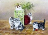 BAMBER Bessie, Betsie Five Kittens Near Porcelain Pots And A Plant BAMBER Bessie, Betsie Five Kittens Near Porcelain Pots And A Plant