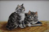 BAMBER Bessie, Betsie Study Of Two Kittens And A Book BAMBER Bessie, Betsie Study Of Two Kittens And A Book
