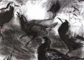 Banks Margo Five Crows Banks Margo Five Crows