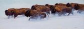 BANOVICH John High Plains Drifters BANOVICH John High Plains Drifters
