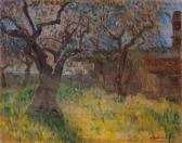BARACCHINI-CAPUTI Adriano Oliveta BARACCHINI-CAPUTI Adriano Oliveta