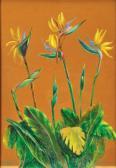 BARATA MOURA josé Strelitzia BARATA MOURA josé Strelitzia