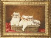 BARBAM A.M. Four Pekingese Dogs In A Basket BARBAM A.M. Four Pekingese Dogs In A Basket
