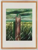 BARCLAY Stephen Saplings BARCLAY Stephen Saplings