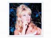 BARDOT Brigitte Portrait Of Brigitte Bardot BARDOT Brigitte Portrait Of Brigitte Bardot