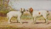 BARILLOT Leon Chien St Bernard BARILLOT Leon Chien St Bernard