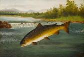 BARKER Reg A Trout On A Line BARKER Reg A Trout On A Line