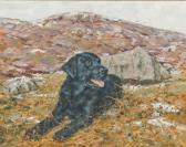 BARKER Neville A Walk In The Highlands BARKER Neville A Walk In The Highlands