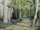 BARKER Peter A Bluebell Wood With Squirrel To The Centre BARKER Peter A Bluebell Wood With Squirrel To The Centre