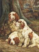 BARKER Wright Clumber Spaniels BARKER Wright Clumber Spaniels