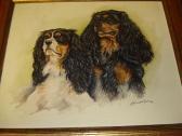 barr alexandra King Charles Spaniels barr alexandra King Charles Spaniels