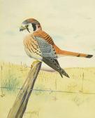 BARRATT Frederick Henry Untitled BARRATT Frederick Henry Untitled