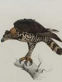 Barrett Arthur Howard Eagle Barrett Arthur Howard Eagle