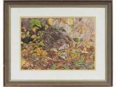 BARRETT BROWN Mary Expectant Mother Grouse On Nest BARRETT BROWN Mary Expectant Mother Grouse On Nest