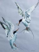 BARRETT BROWN Mary King Fishers In Flight BARRETT BROWN Mary King Fishers In Flight