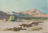 BARTKO William Smoke Trees In The Desert BARTKO William Smoke Trees In The Desert