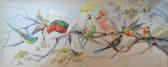 BARTLETT Violet Australian Birds BARTLETT Violet Australian Birds