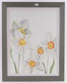 Bartson Regine Narcissus Bartson Regine Narcissus
