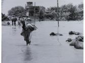 BASAK Santosh Alluvione A Calcutta 1978 BASAK Santosh Alluvione A Calcutta 1978