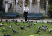 BASELLO JEAN-PHILIPPE Orchestre De Pigeon BASELLO JEAN-PHILIPPE Orchestre De Pigeon
