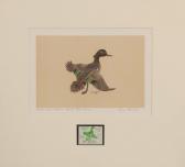 BASHORE Sonny First Of State Indiana Duck BASHORE Sonny First Of State Indiana Duck