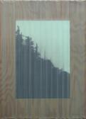 BEALL Jeff Untitled (forest Silhouette) BEALL Jeff Untitled (forest Silhouette)