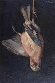 BECHT Maria Johanna W. A Dead Jay BECHT Maria Johanna W. A Dead Jay