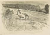 BECKER Harry Sheep And Lambs BECKER Harry Sheep And Lambs
