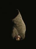 BEHROUZ RAE Untitled From In Bimester We Trust BEHROUZ RAE Untitled From In Bimester We Trust