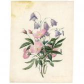 BENARD Augustine Eglantines And Campanulas BENARD Augustine Eglantines And Campanulas