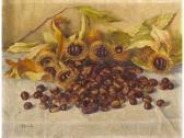 BENECH Stefano Castagne BENECH Stefano Castagne