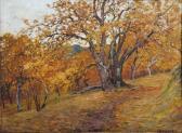 BENISCELLI Alberto Bosco BENISCELLI Alberto Bosco
