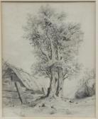 BENOIS Louis Tree And Rural Building BENOIS Louis Tree And Rural Building
