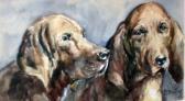 Bentar M. Golden Retrievers Bentar M. Golden Retrievers