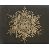 BENTLEY WILSON A. A Snowflake And A Spiderweb BENTLEY WILSON A. A Snowflake And A Spiderweb