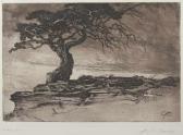 BERANN Heinrich Caesar Nordischer Baum Im Wandel Des Schicksals BERANN Heinrich Caesar Nordischer Baum Im Wandel Des Schicksals