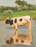 BERGMANN Julius Hugo Portrait Of A Cow BERGMANN Julius Hugo Portrait Of A Cow