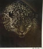 BERNSTEIN Lou Belugas
Leopard BERNSTEIN Lou Belugas
Leopard