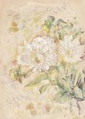 Bertalan Ştefan Chrysanthemums Bertalan Ştefan Chrysanthemums