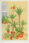BESSANT Elizabeth Yuccas BESSANT Elizabeth Yuccas
