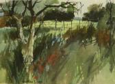 BEVAN VAUGHAN Landscape Studies BEVAN VAUGHAN Landscape Studies