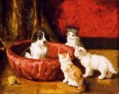 BHEVAERE Chien Et Chats BHEVAERE Chien Et Chats
