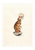 BIASI Guido Skull Creature BIASI Guido Skull Creature