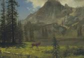 BIERSTADT Albert Call Of The Wild BIERSTADT Albert Call Of The Wild