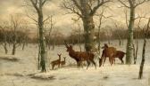 BIMMERMAN E. Deer In A Snow-covered Landscape BIMMERMAN E. Deer In A Snow-covered Landscape