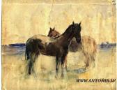 birnbaum stanislav Horses birnbaum stanislav Horses